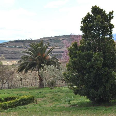 Willa Casa Pichon Etxea La puebla de Labarca Zewnętrze zdjęcie