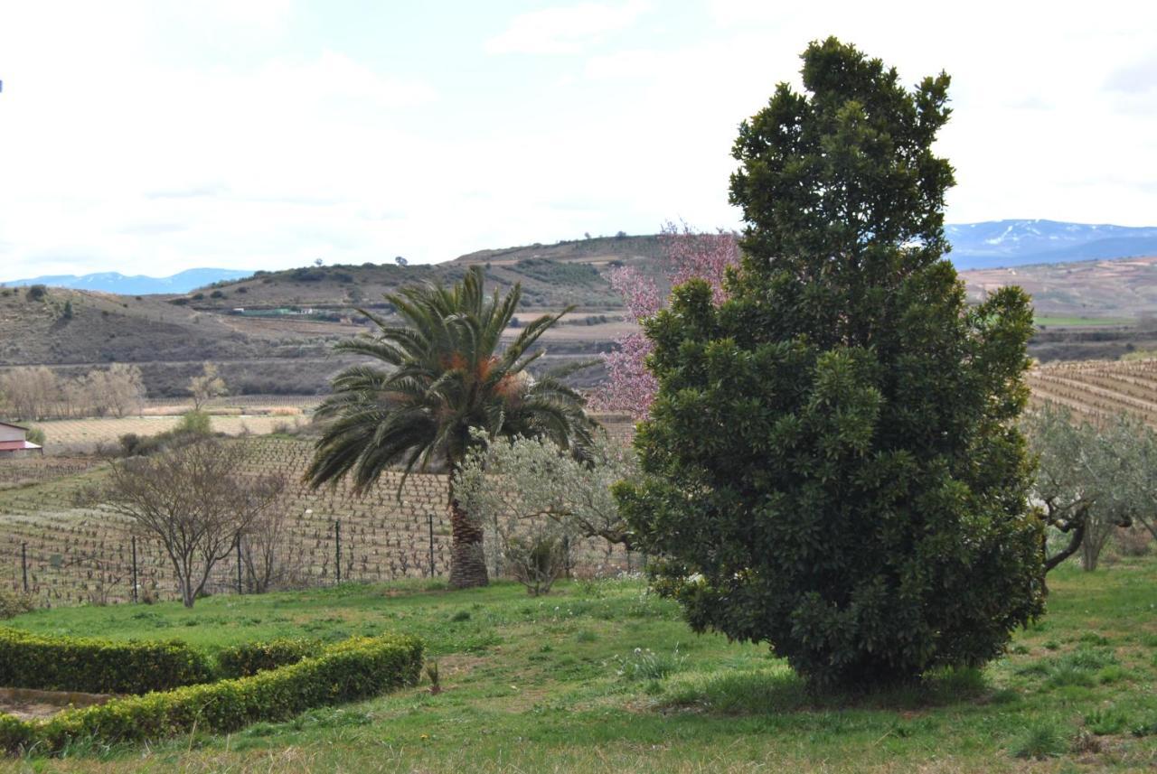 Willa Casa Pichon Etxea La puebla de Labarca Zewnętrze zdjęcie
