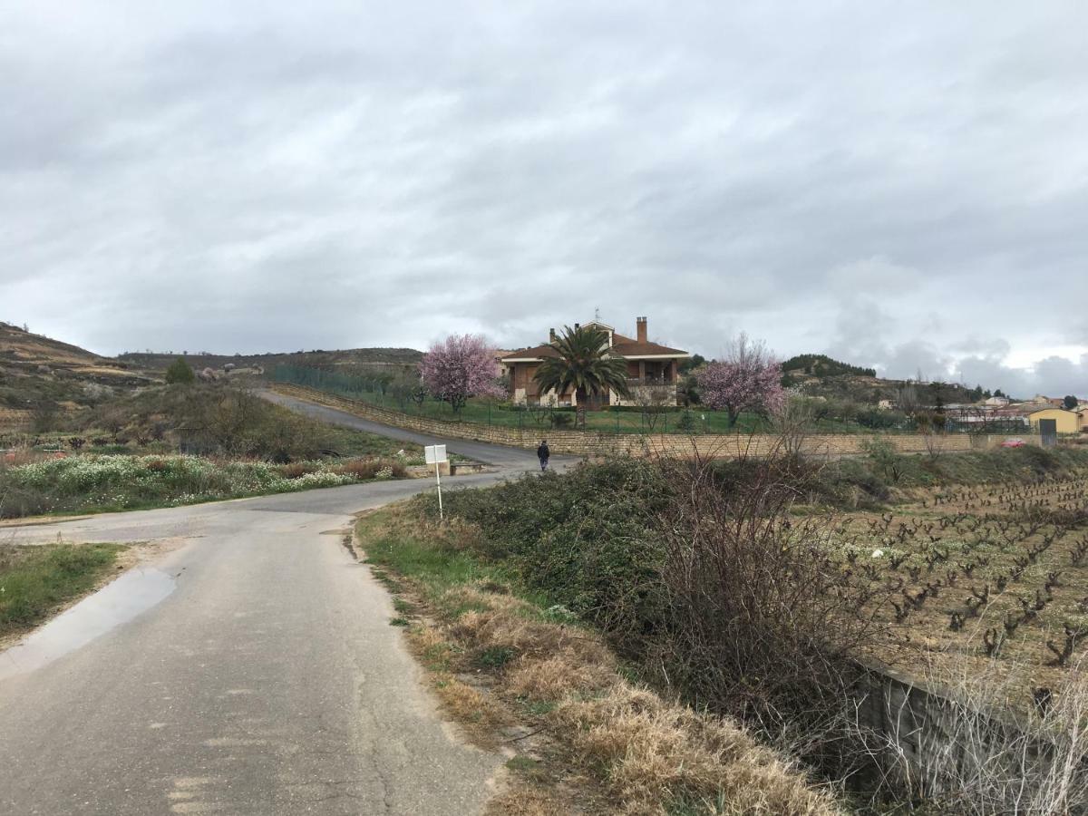 Willa Casa Pichon Etxea La puebla de Labarca Zewnętrze zdjęcie